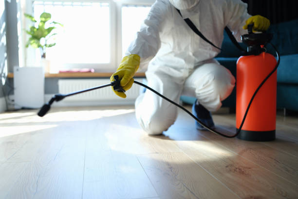 Reliable Odor Removal contractor in Bellevue, IL by Crime Scene Cleaner Online